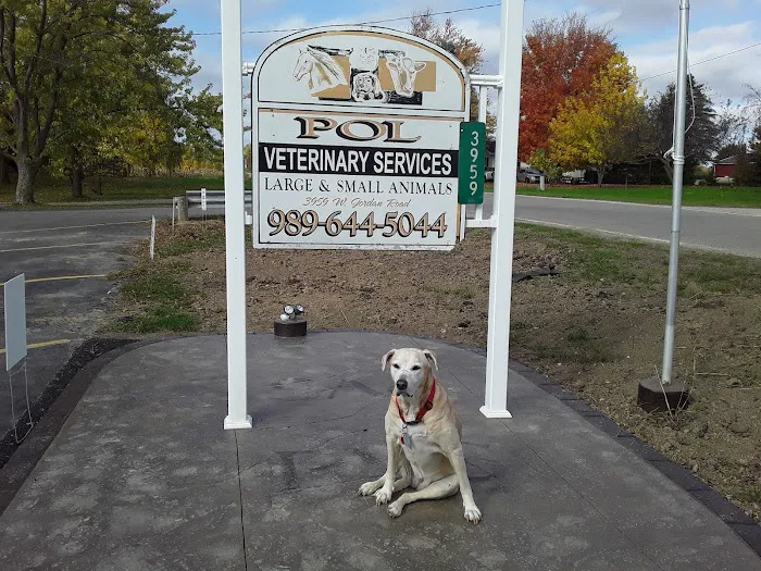 Pol Veterinary Services 12
