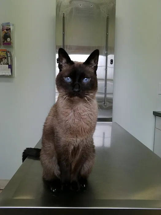 Phoenix Road Animal Hospital 4