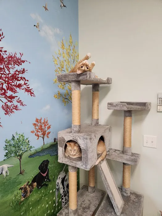 Phoenix Road Animal Hospital 5