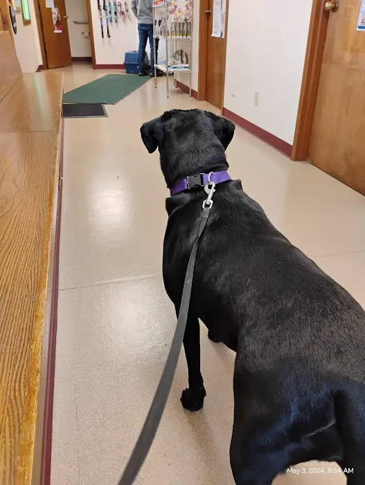 Red Arrow Animal Clinic 5