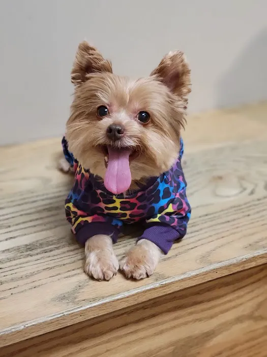 Wil-O-Paw Animal Hospital 9