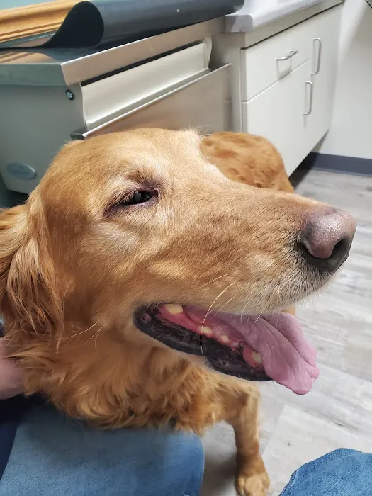 Wil-O-Paw Animal Hospital 7