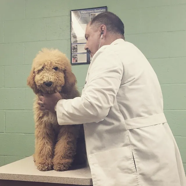 Sunset Coast Veterinary Clinic 9