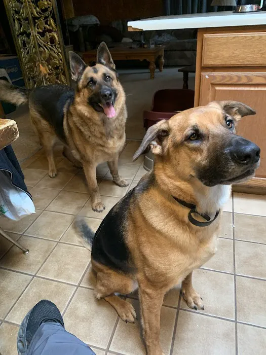 Family Pet Health Center 4