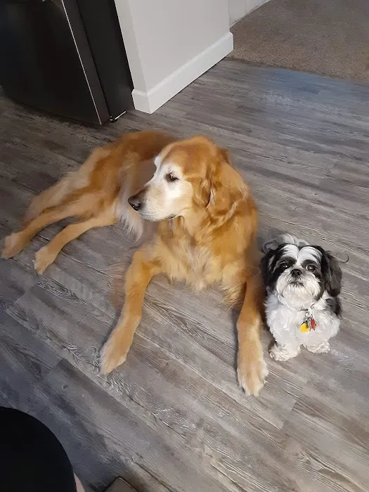 Family Pet Health Center 2