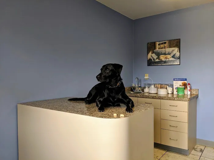 Willow Springs Veterinary Clinic 12