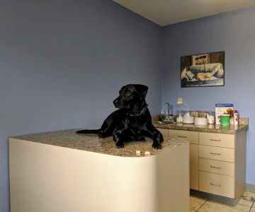 Willow Springs Veterinary Clinic