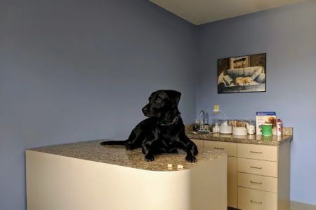 Willow Springs Veterinary Clinic