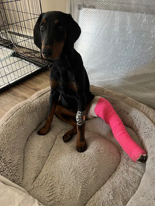 Pleasant Prairie Animal Hospital 6