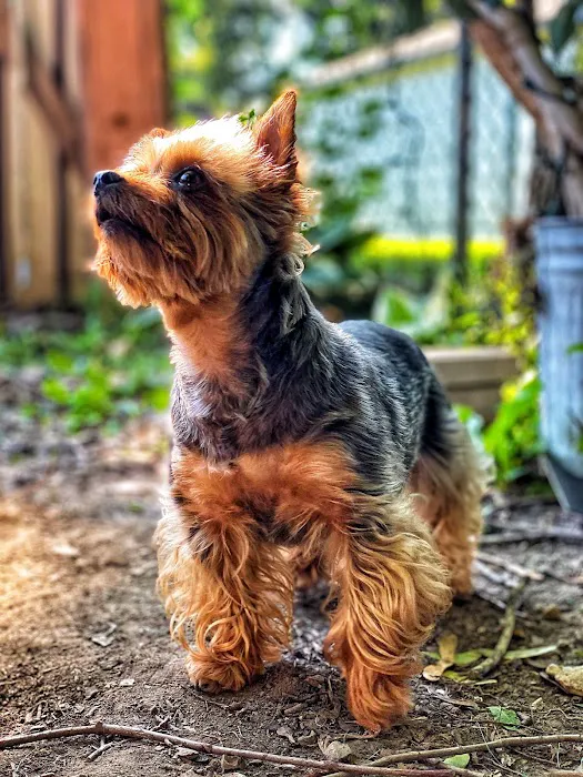 Pleasant Prairie Animal Hospital 2