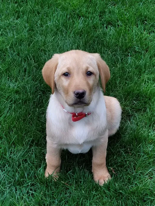 Pleasant Prairie Animal Hospital 8
