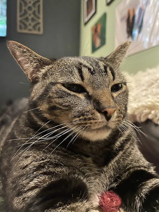 Pleasant Prairie Animal Hospital 4