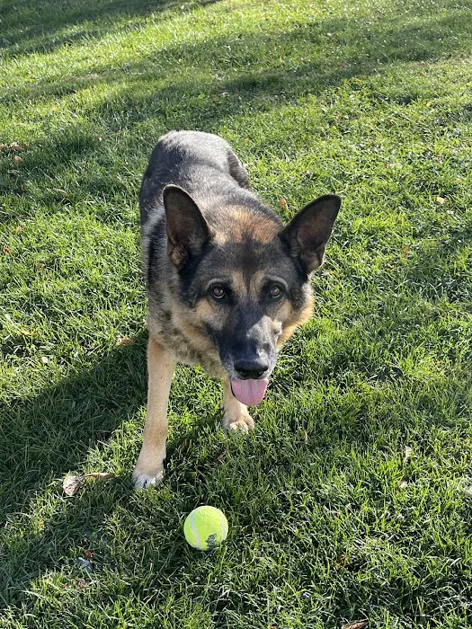 Pleasant Prairie Animal Hospital 7