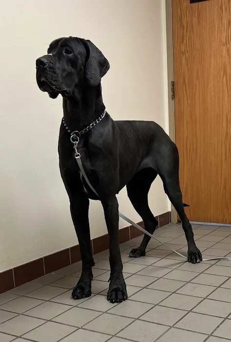 Pleasant Prairie Animal Hospital 1