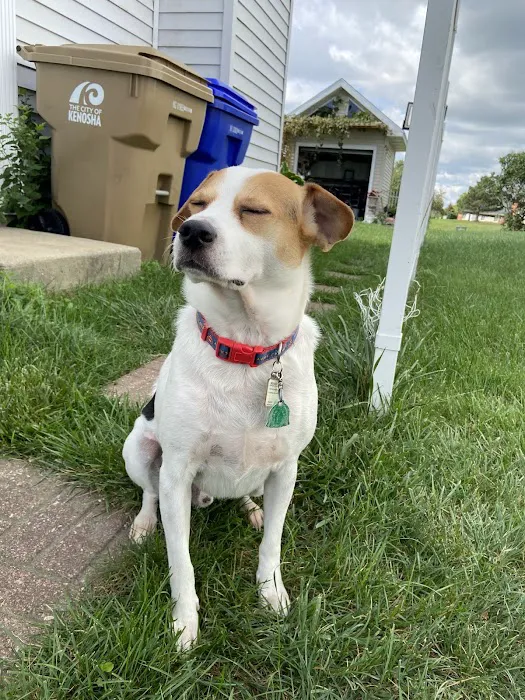 Pleasant Prairie Animal Hospital 9