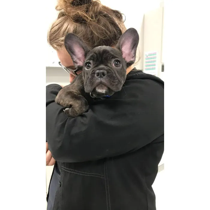 Companion Animal Hospital Kenosha 12