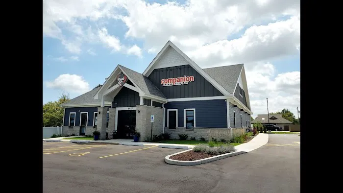Companion Animal Hospital Kenosha 12