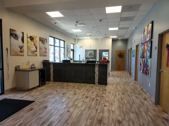 Companion Animal Hospital Kenosha 12