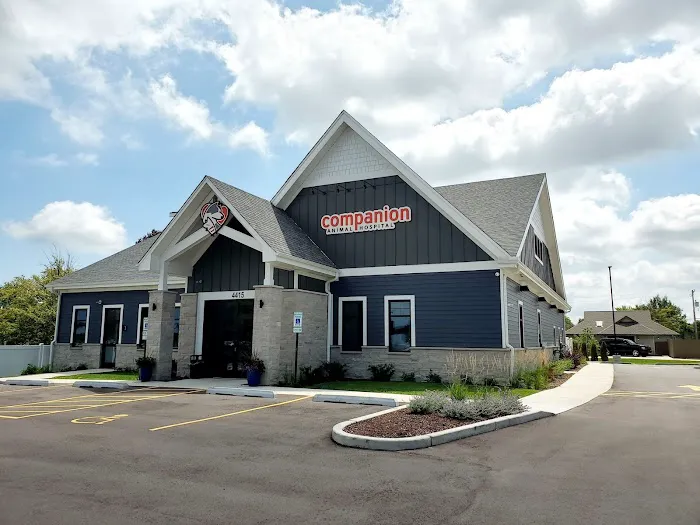Companion Animal Hospital Kenosha 12