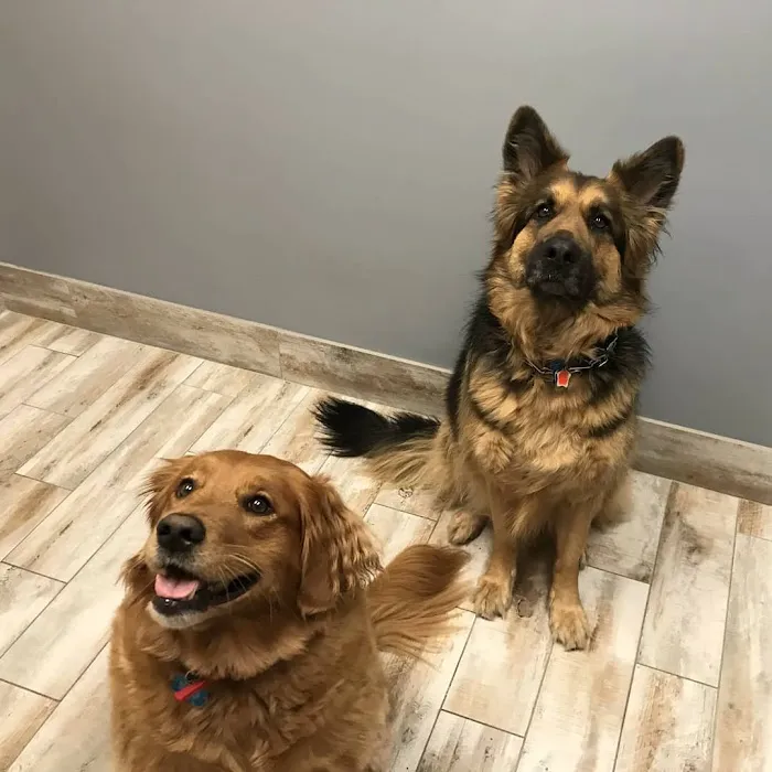 Companion Animal Hospital Kenosha 12