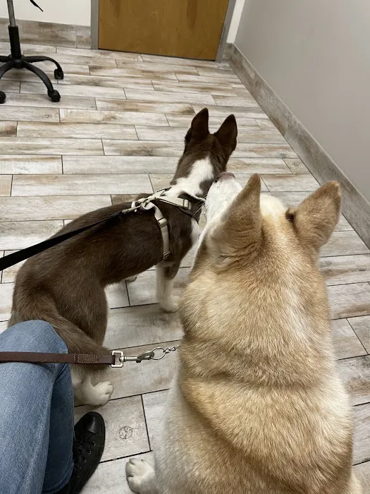 Companion Animal Hospital Kenosha 12