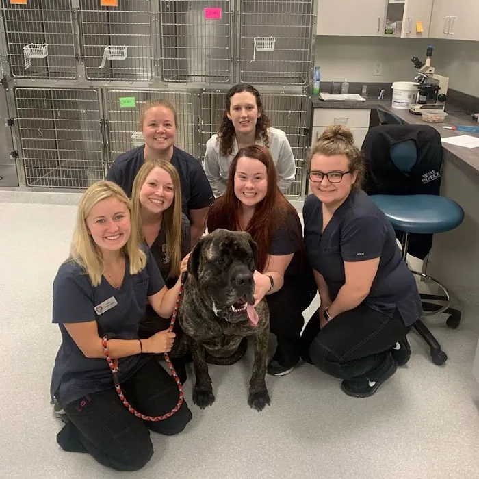 Companion Animal Hospital Kenosha 12
