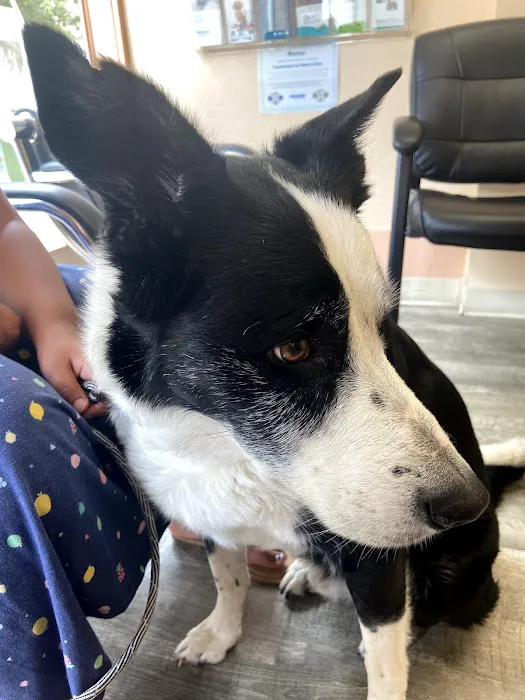 Kenosha Lake Shore Veterinary Clinic 3