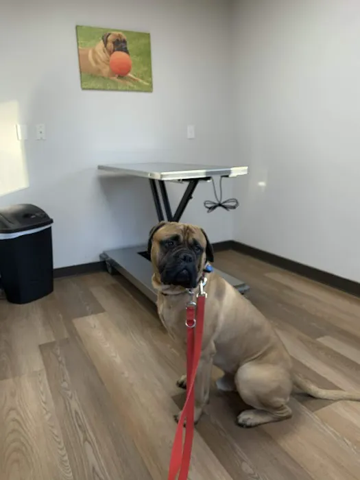 Prairie Side Veterinary Hospital 12