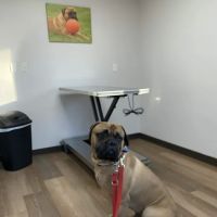 Prairie Side Veterinary Hospital ico