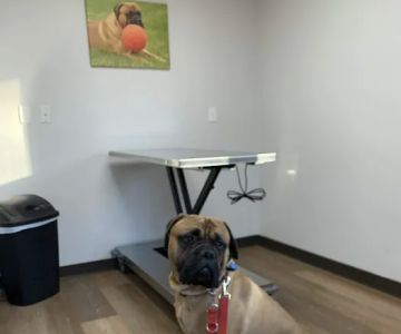 Prairie Side Veterinary Hospital