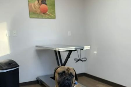 Prairie Side Veterinary Hospital