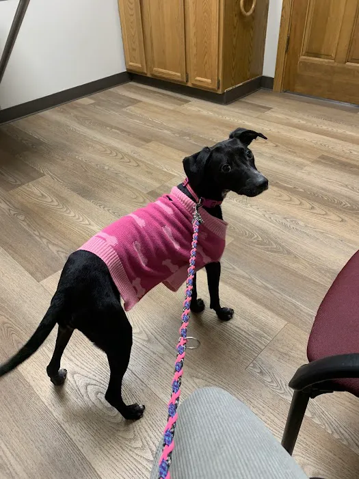 Prairie Side Veterinary Hospital 12