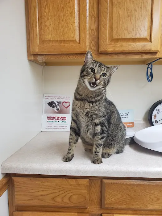 Prairie Side Veterinary Hospital 12