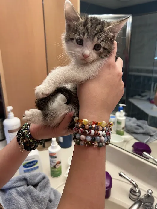 Kenosha Animal Hospital 12