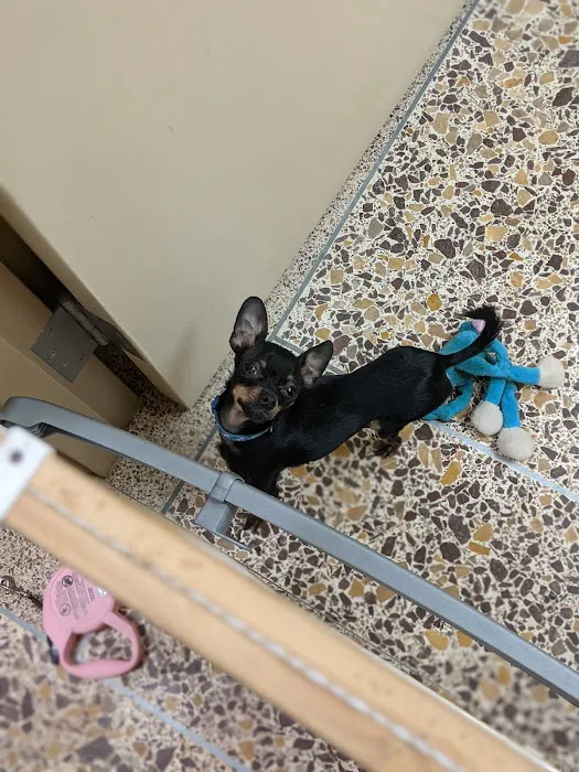 Kenosha Animal Hospital 12
