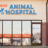 Gray Animal Hospital ico