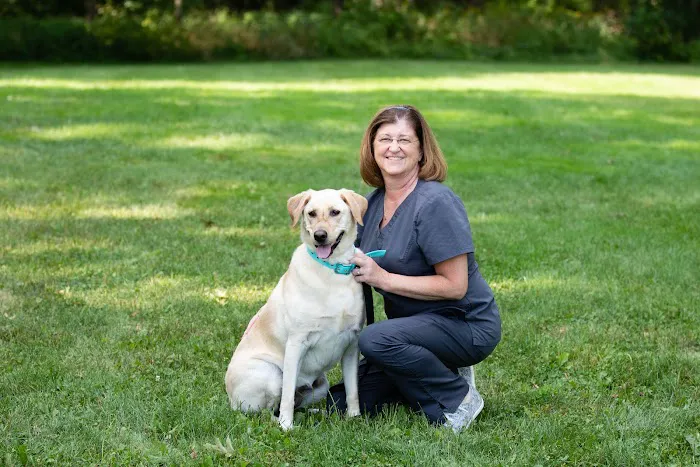 Gray Animal Hospital 8