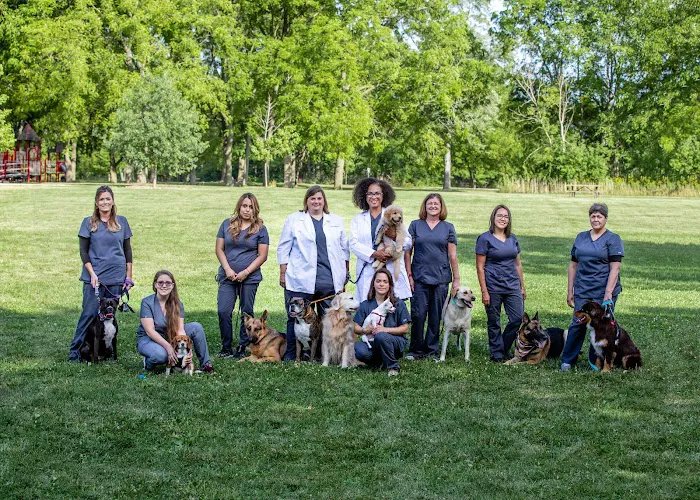 Gray Animal Hospital 5