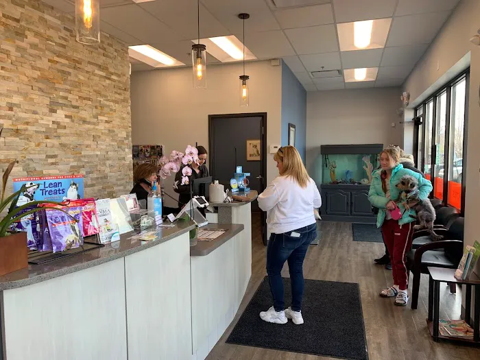Gray Animal Hospital 4