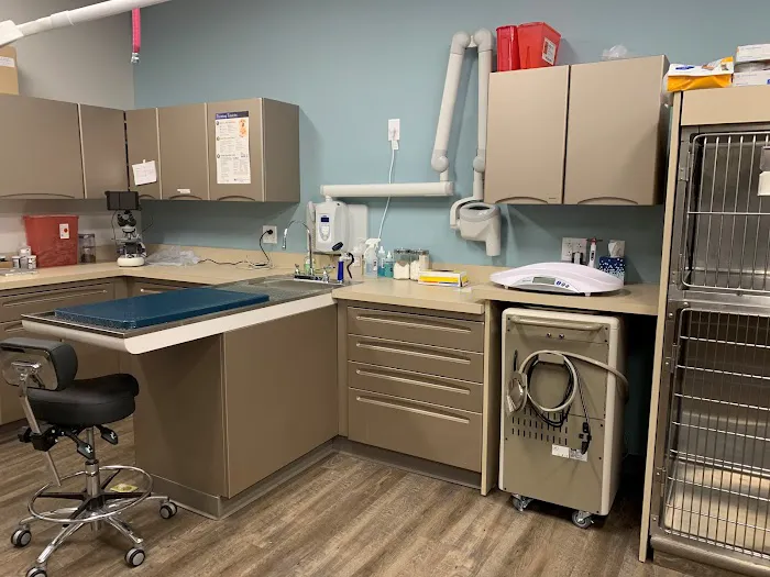 Gray Animal Hospital 6