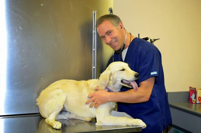 Harris Pet Hospital 3