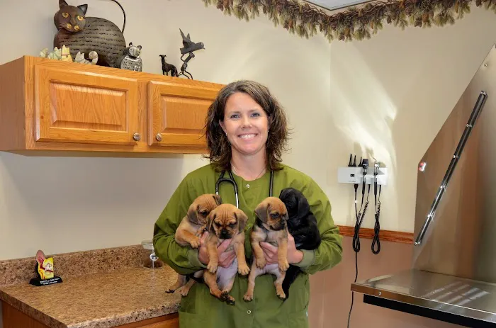 Harris Pet Hospital 2