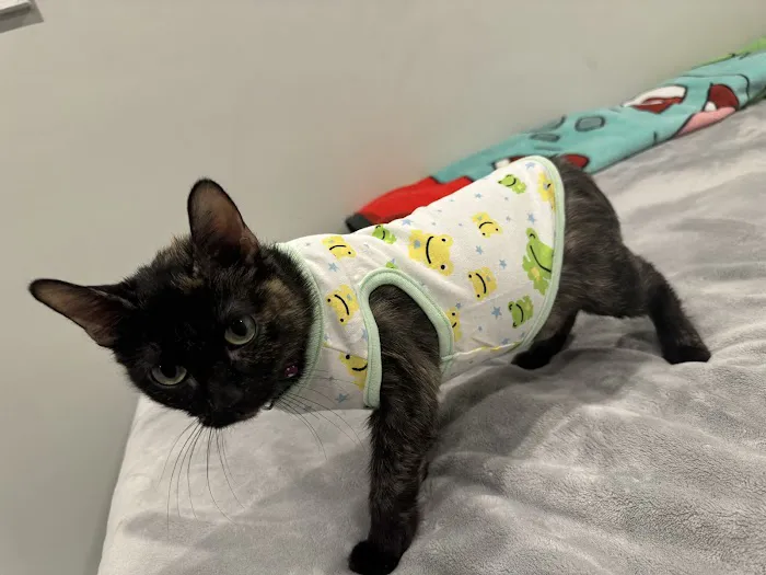 Lakes Animal Clinic 6