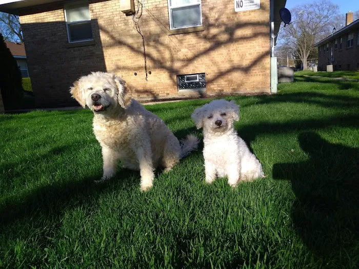 Lakes Animal Clinic 9