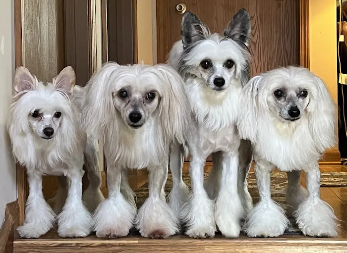 Lakes Animal Clinic 10