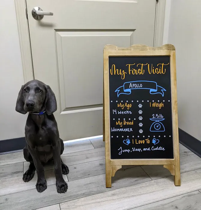 Good Life Veterinary Care 10