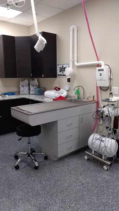 Good Life Veterinary Care 3
