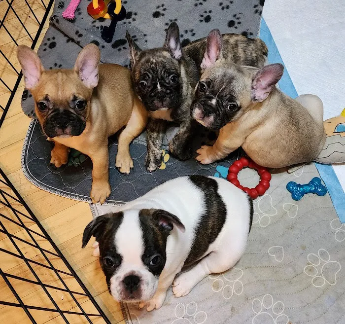 North Cape Corner Veterinary Clinic 12