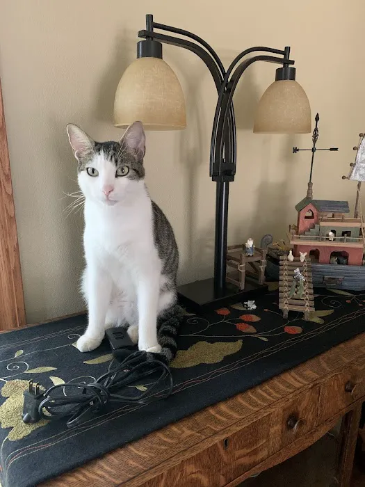 North Cape Corner Veterinary Clinic 12