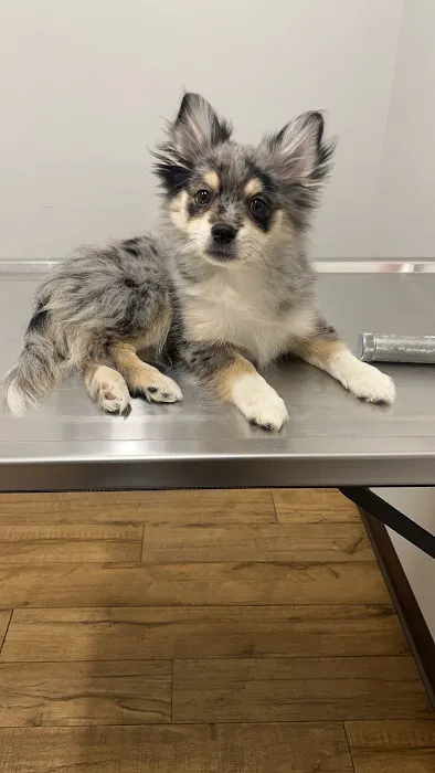 Prairie Side Veterinary Hospital 6